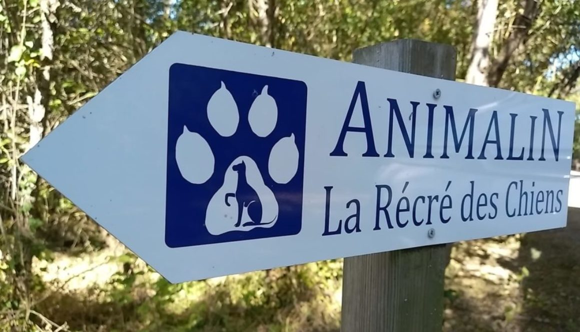 Animalin IET Animaux
